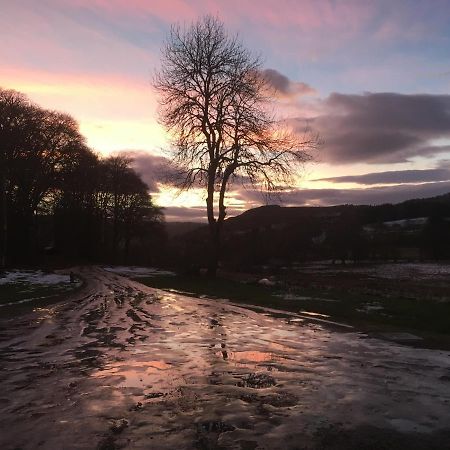 Beautiful Highland 1-Bed Cottage Inverness Esterno foto